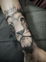 Lion tattoo I did.-#tattoo #tattoos #blackandgrey #blackandgreytattoo #lion #liontattoo #cat #bigcat #realistic #realistictattoo #realismtattoo #realism #kingofthejungle 