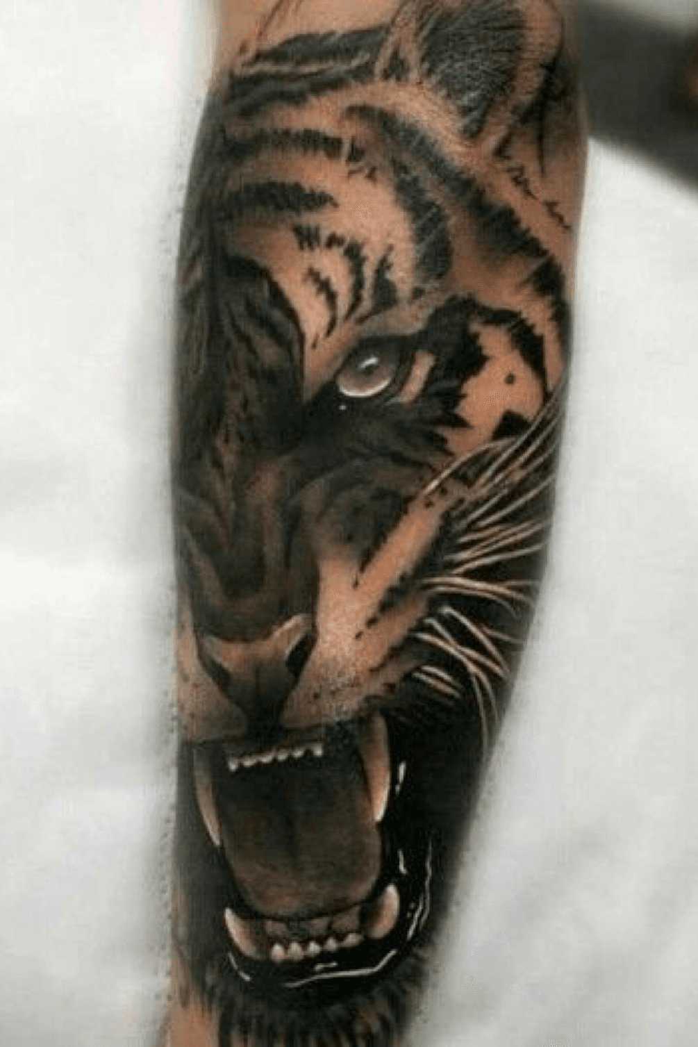 Tiger and lion tattoo | Which one u like the most ? Comment … | Flickr