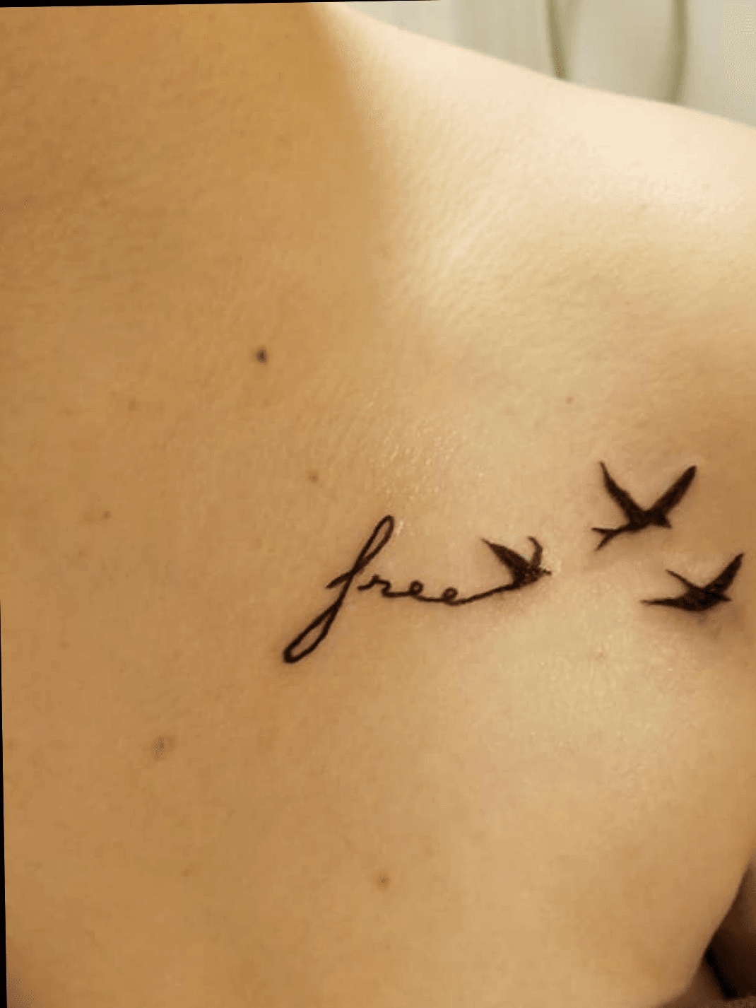 Tattoos Photos Download The BEST Free Tattoos Stock Photos  HD Images