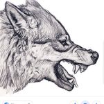 So I have been looking for something like this for my first tattoo. I want this to be half I want the other side to be a lion growling as well. I would prefer the wolf have his mouth shut. I will post more pictures of what I am think of getting. Please message me if you can do this. 