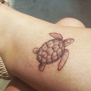 Turtle love🐢
