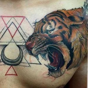 This is what I want the other half to look like but the only problem is I want this to be a lion.