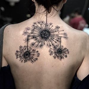 Tattoo by Hira Lupe #HiraLupe #qpocttt #qpoc #pridemonth #pride #lgbtq #backpiece #flowers #dandelion