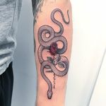 Tattoo by Mirko Sata #MirkoSata #satatttvision #linework #snake #snaketattoo #linework #reptile #serpent #rose #flower #floral #leaves #thorns #redink