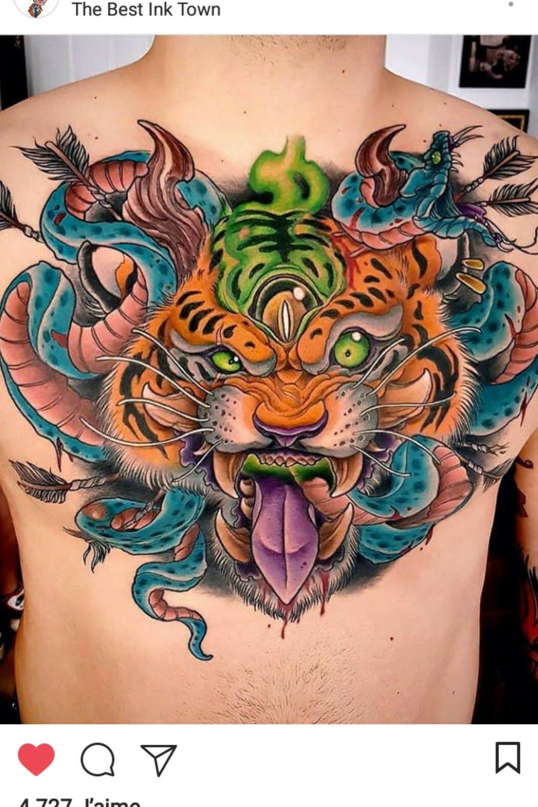 Tattoo uploaded by DiDy NRiqS  snake tigrtattoo tiger snaketattoo   Tattoodo