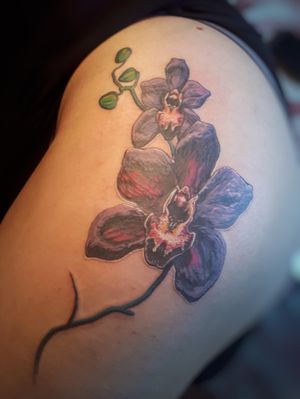 #tattoo #tattooart #flowers #flowerstattoo #tattooGirls #tattoomoscow #тату #татуировка #орхидея