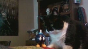 My cat's hated enemy, she does not like bobomb at all.