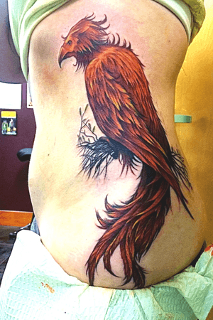 My completed first large tattoo - phoenix