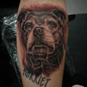 Artist: Christian Lindholm.aka cribbe - Portrait of a clients dog/coverup 