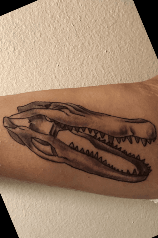 Crocodile Skull Tattoo  Best Tattoo Ideas Gallery