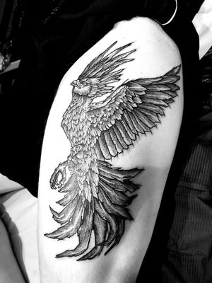 #PhoenixTattoos #phoenix #blackandgreytattoo #sketchstyle #sketchtattoo #firstattoo #legtattoo #tattooed #Myfirsttattoo 