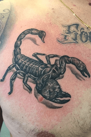 #inked #tattooartist #tattooart #blackandgreytattoo #inkvaders #blackandgrey #scorpion 