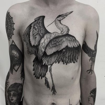 Heron tattoo by Thomas Bates #thomasbates #blackandgrey #heron #bird #feathers #wings #nature #animal #chestpiece #torsotattoo #illustrative #realism #realistic