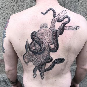 The violence of nature. Tattoo by Jack Ankersen. #JackAnkersen #blackandgreytattoos #linework #illustrative #rabbit #snake #serpent #bunny #nature #animal #reptile #backpiece #backtattoo