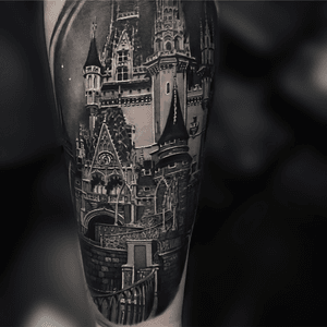 Disneyworld Castle