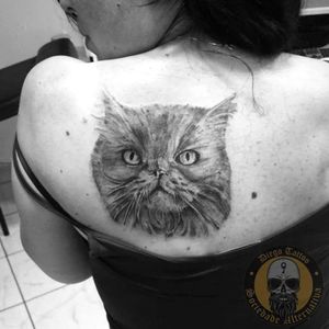 Tattoo gato 