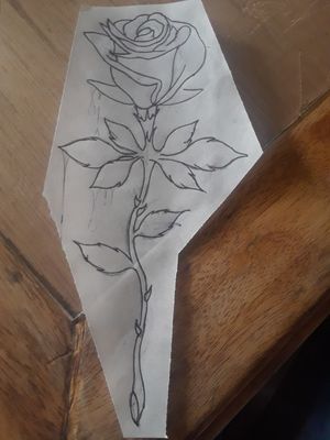 My rose outline