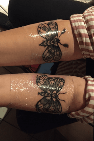 #butterfly #moth #forearms 