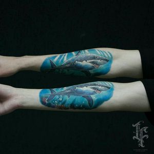 Belarus/Gomel/Lysenko Tattoo(Alex Lysenko)#shark #sharktattoo 