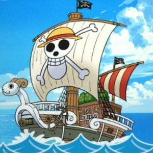 #boat #onepiece 
