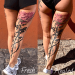 Love to se my work healed #ink #tattoo #realistic #realistictattoo @tattoomediaink #supportgoodtattoos #inkallday #killerink #inkmag #blackandgray #tattooart #artwork #art #tattoo_magazine#TattooistArtMag #skinartmag #tattoorevuemag #tattoodo #sorrymom #tattoooftheday #tattoosleeve #tattooartist #tattoolife #tattooer #realistictattoo
