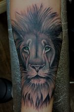 #ShannonBrownArt #WestChesterPA #LocalColorTattoo #LocalColorInk #realistic #realism #liontattoo 