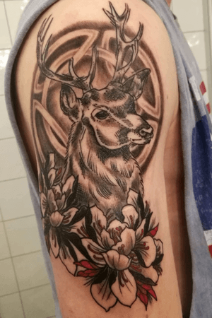 Deer with pions and a celtic knot