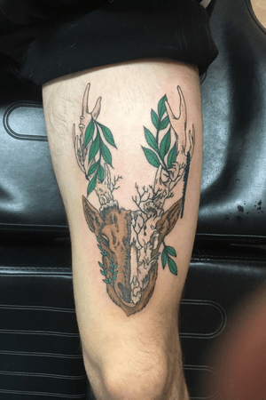 Stag thigh piece #stag #halfskull #nature 