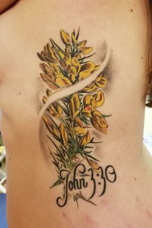 Gorse flower and bible verse reference