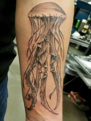Jellyfish tattoo. Tattoo done by Darryl Lundeen. 12-13-2017#ocean #jellyfish #freshink 