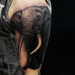 Realistic elephant black and grey tattoo!