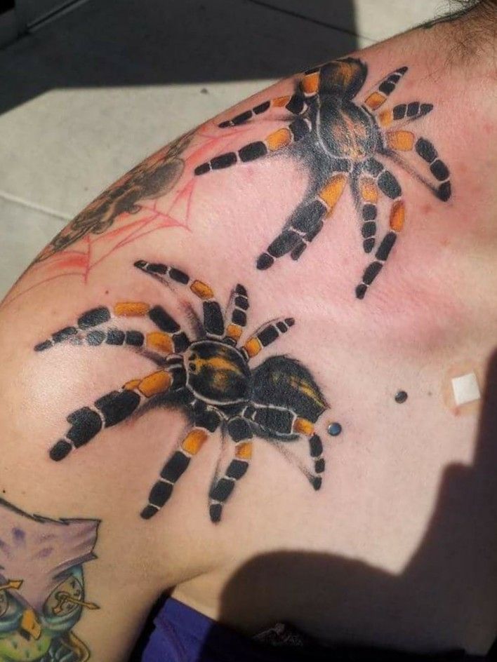 Tarantula Tattoo  tarantula tarantulatattoo realism reaslismtatt   TikTok