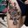 My next tattoo