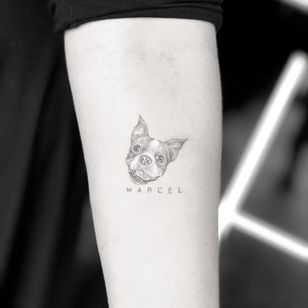 Tattoo by Mr.K #MrK #dogtattoos #blackandgrey #realism #realistic #tiny #detailed #text #name #font #lettering #dog #petportrait #frenchpug #pug #cute