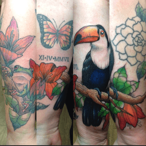Customized project, frog is healed, toucan is fresh, forearm