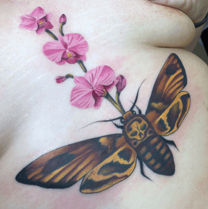 Death head moth and orchids #moth #orchid #flower #colorful #color 