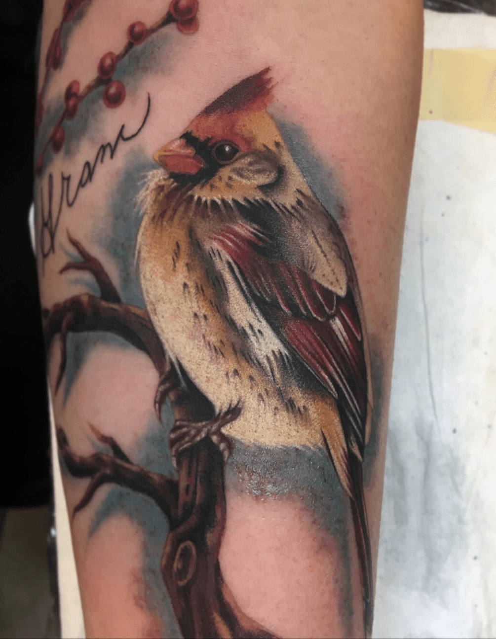 Cardinal by Danny Elliott TattooNOW
