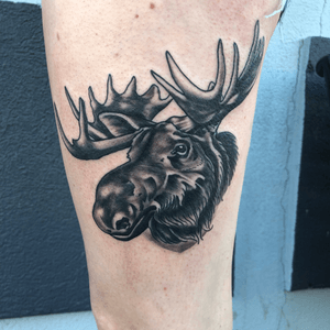 Moose tattoo