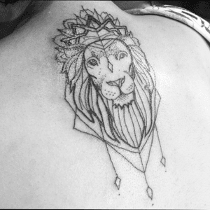 Lion 🦁