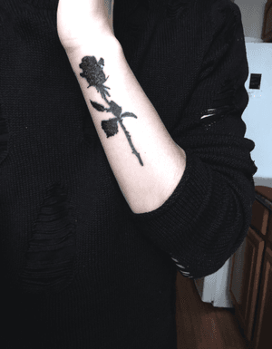 🌹 #rose #blackrose #Black 