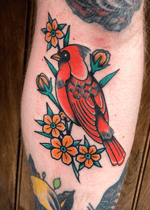 Perched cardinal #cardinaltattoo #birdtattoo #neotraditional #traditional 