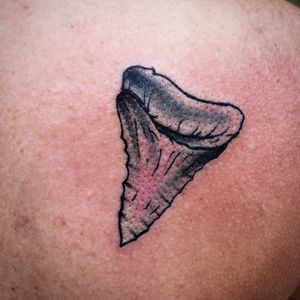 Shark toof. #richmond #rva #tattooed #tattooist #artist #design #instaart #rvatattoo #art #instatattoo #bodyart #tattedup #inkedup #Tattooartist #guyswithtattoos #girlswithtatoos #tattooflash #follow #traditional #neotraditional #colorful #blackclaw #tattoo #tattoos #rivercity