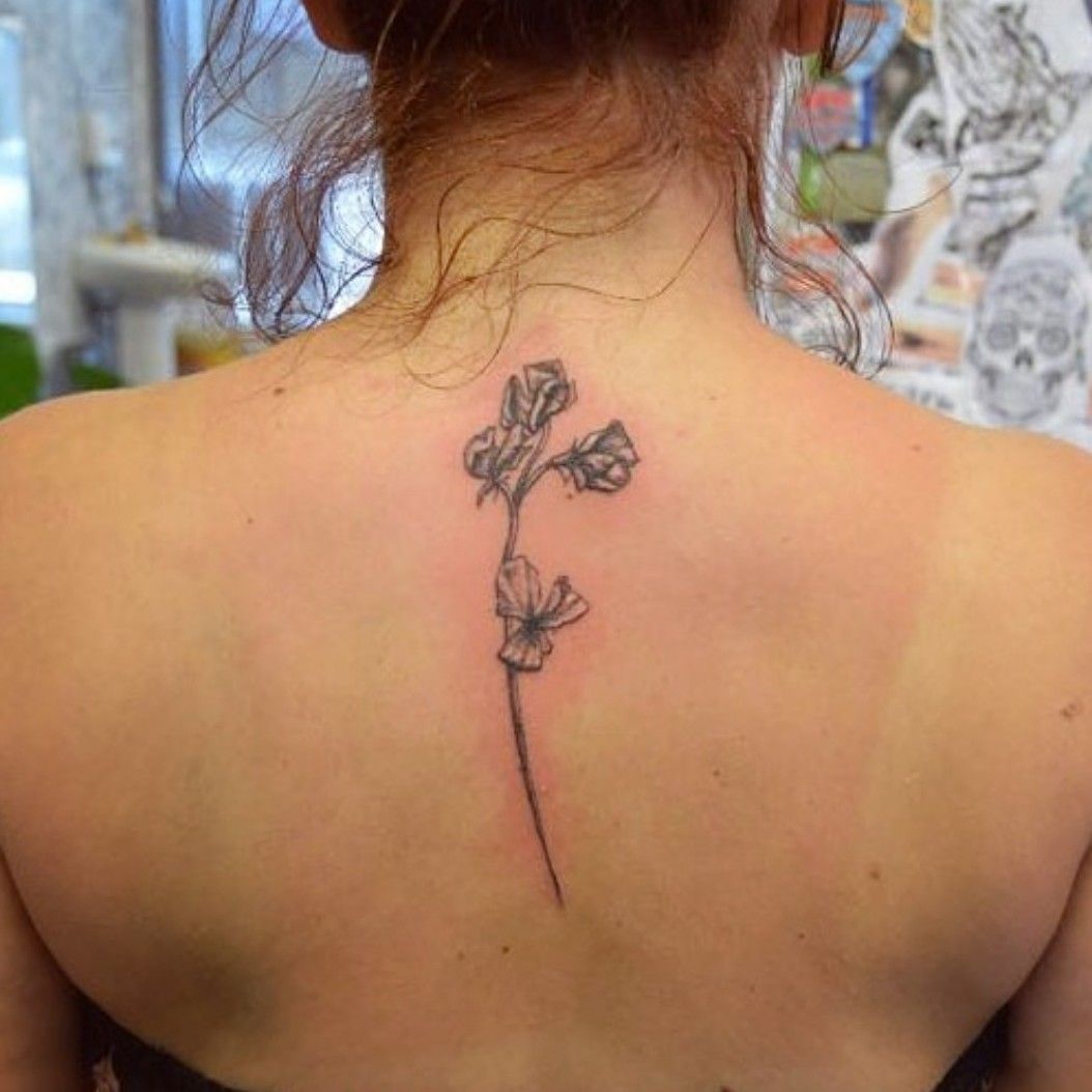 Sweet pea flowers tattootattooedtattooartflowerflowertattoo flowerartartsweetpeasweetpeaflower타투꽃꽃타투타투이스트  Flower wrist  tattoos Tattoos Foot tattoos