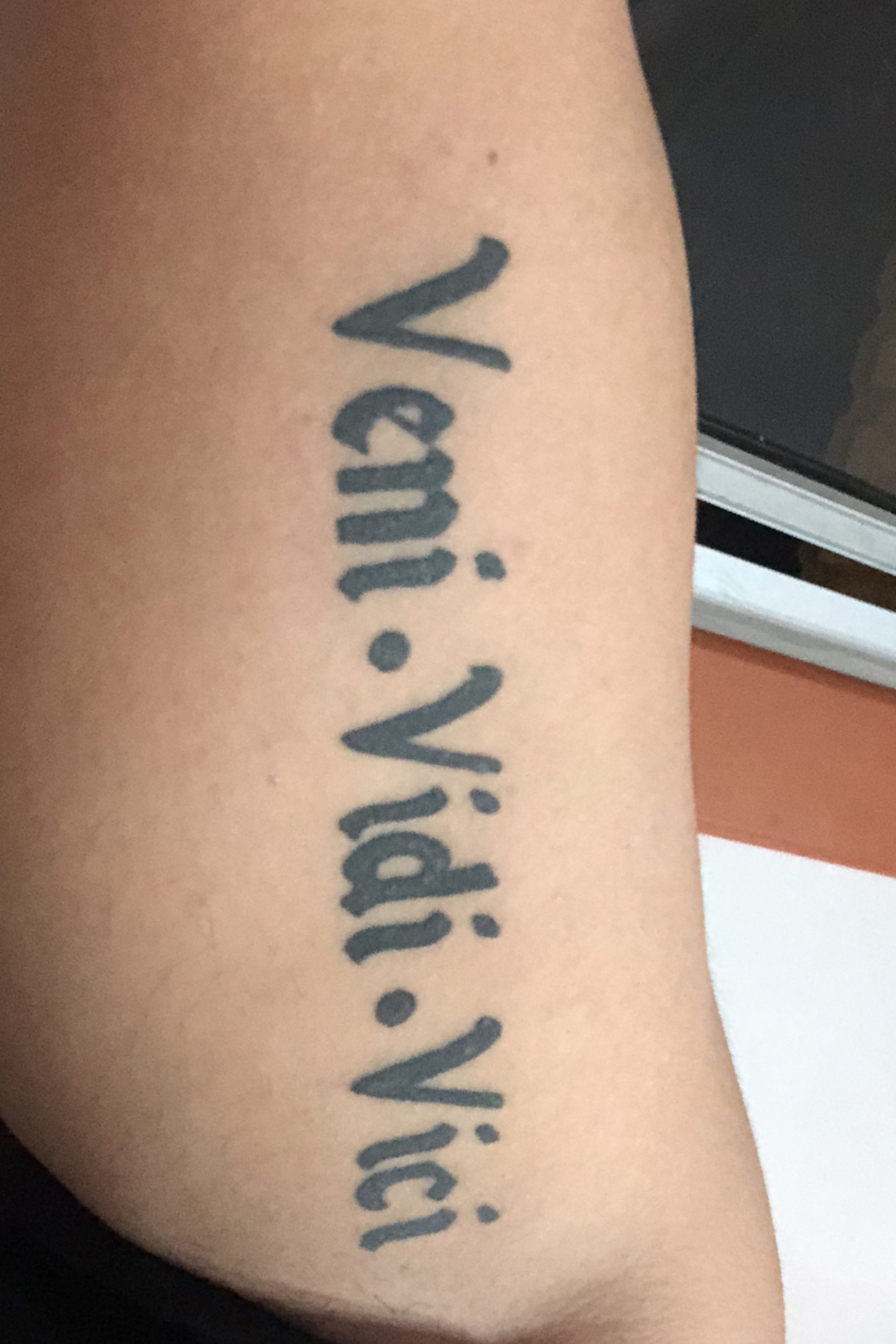 Veni Vidi Vici Tattoo Tatuagem Veni Vidi Vici in 2023