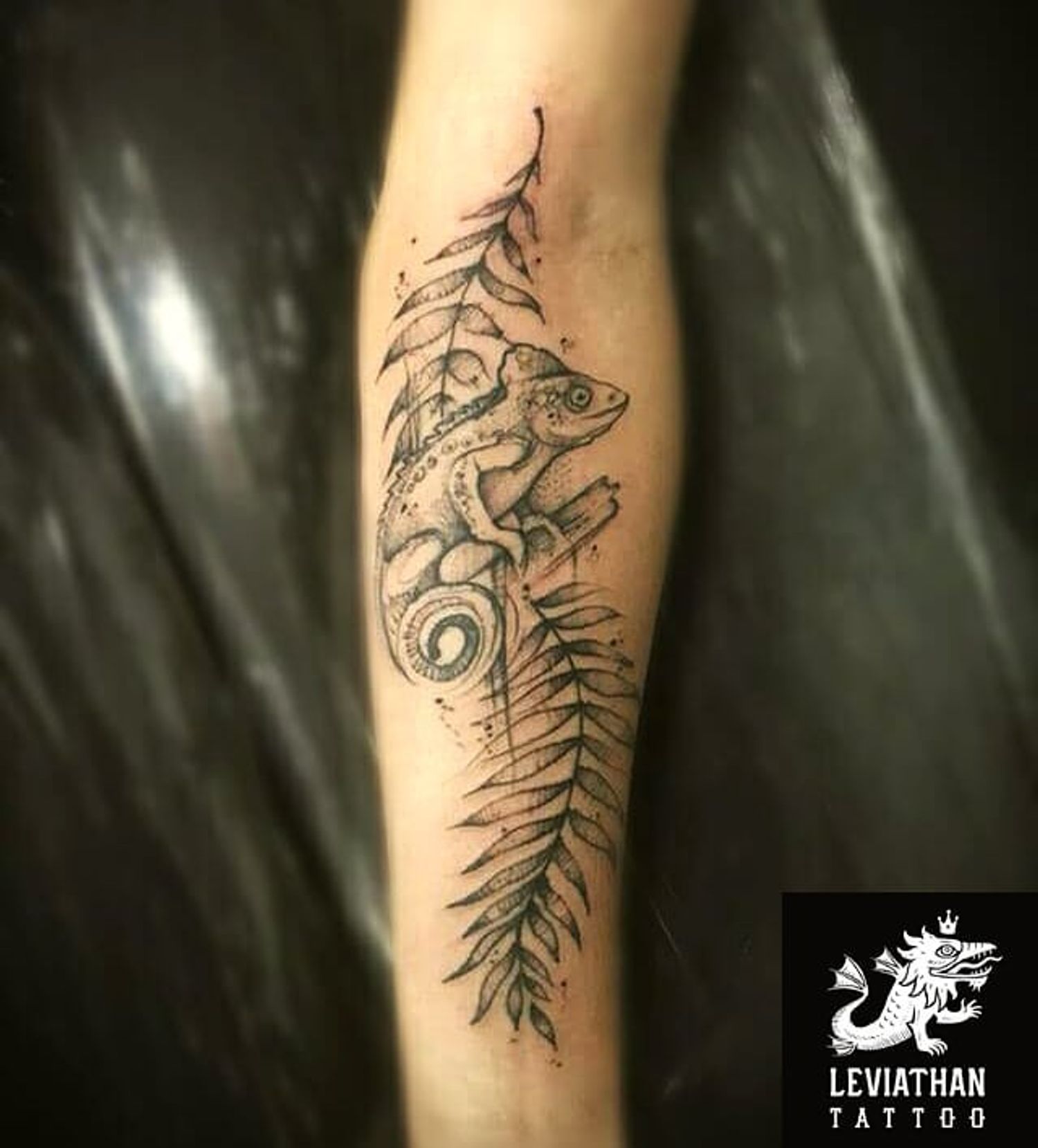 Leviathan Tattoo • Tattoo Studio • Tattoodo