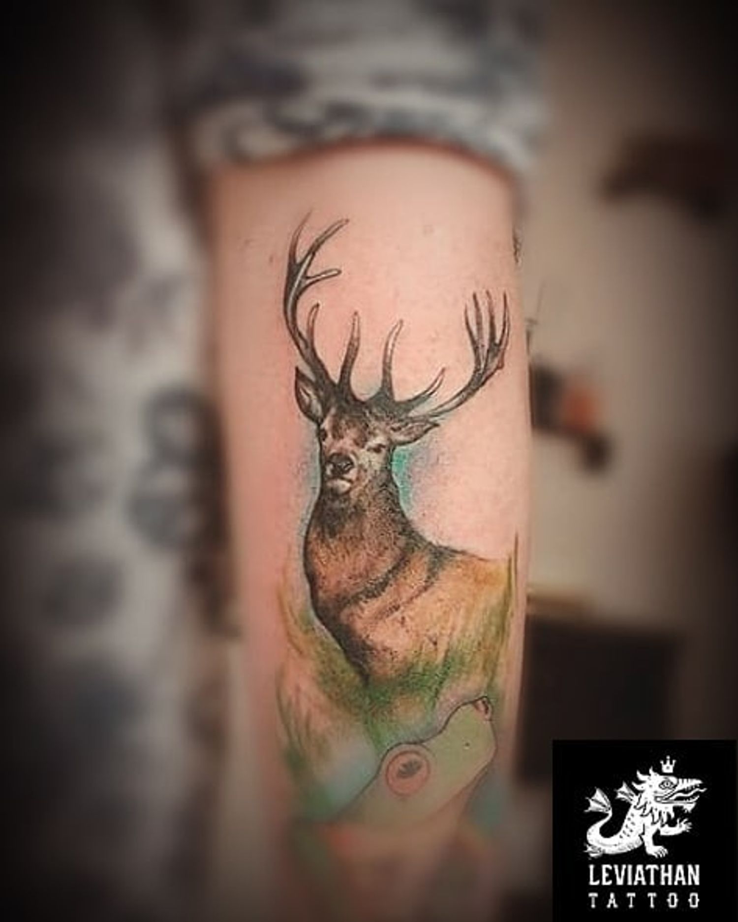 Leviathan Tattoo • Tattoo Studio • Tattoodo