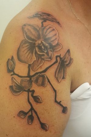 Orchid flowers #tattoo #tattoos #tattooist #tattooartist #womenwithtattoos #tattooedwomen #womenwithink #inked #inkedwomen #flowertattoo #flowers #orchids #orchidtattoo #blackandgrey #blackandgreytattoo #blackandgray #blackandgraytattoo 