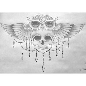 Owl and skull 