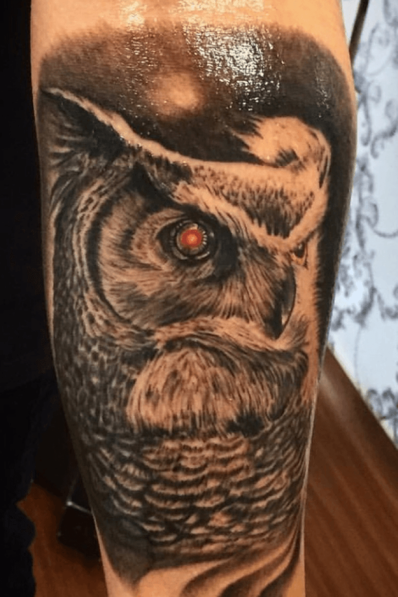 Explore the 50 Best owl Tattoo Ideas 2022  Tattoodo