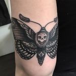 Tattoo by Luke A Ashley #LukeAAshley #deathmothtattoos #blackandgrey #skull #moth #traditional #darkart #death #insect #animal